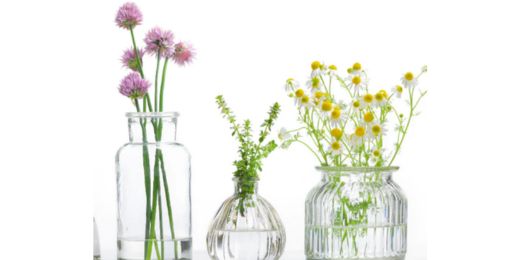 Cleanz Eco-Friendly Cleaning Products