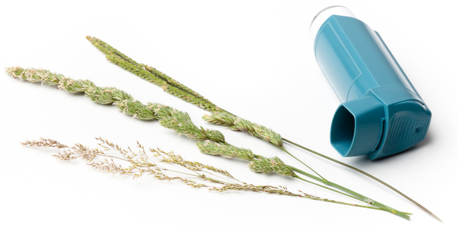 Helpful tips for those of us living with asthma and allergies