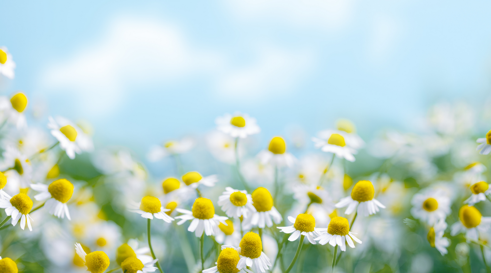 Handy Hints for Using Eco-Friendly Cleaning Products / Cleanz - Eco-Friendly Cleaning Products Blog