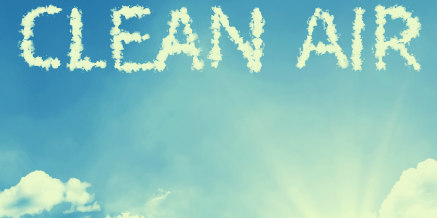 Ways to Reduce Toxins