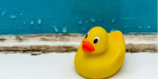 Getting Rid of Mould Naturally: 5 Non-Toxic Ways