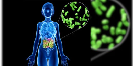 What the heck is Microbiome?. Why is it so important and why   over-sanitising our lives negatively impacts it.!!