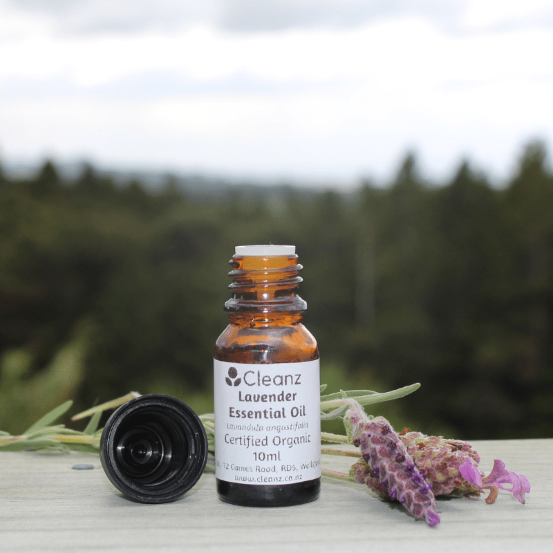 The essential discount oil bottle shop