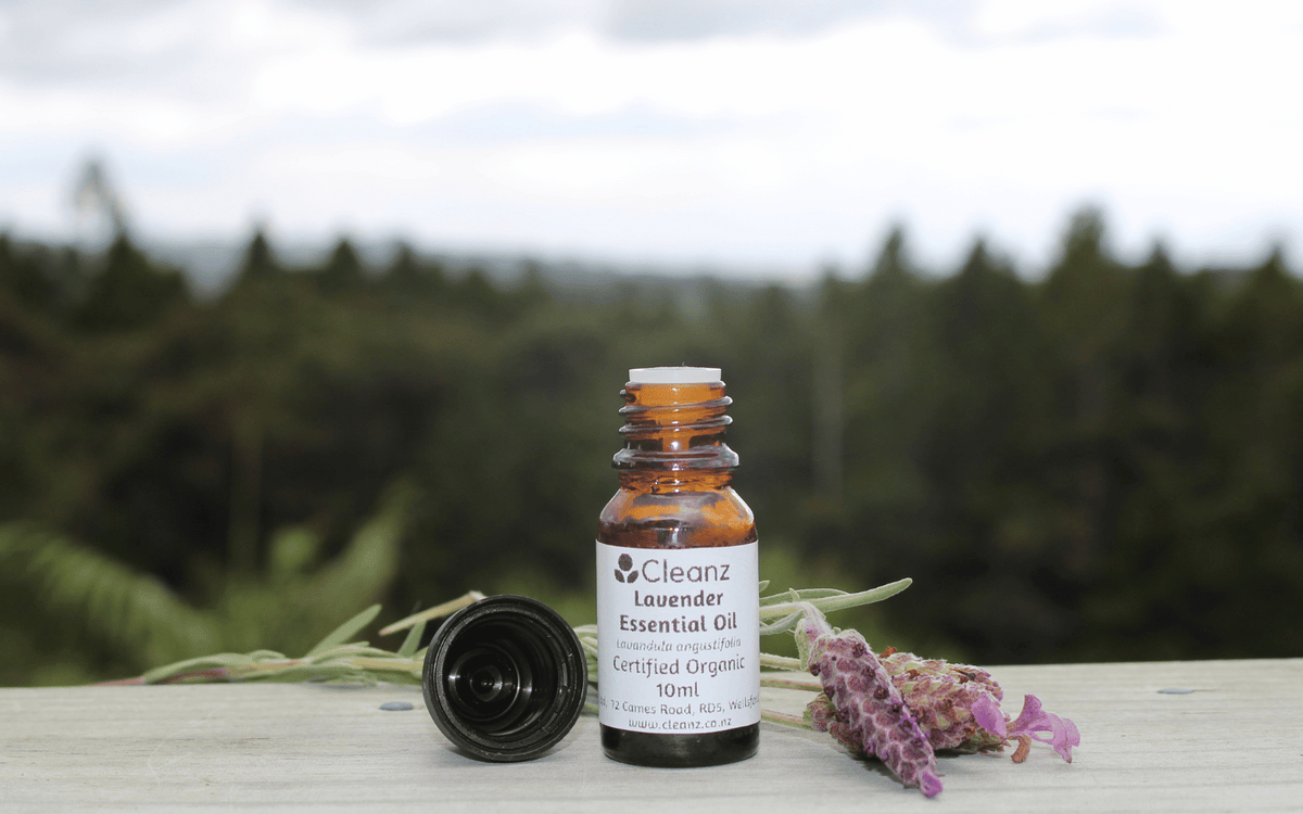 Lavender Essential Oil - 10ml