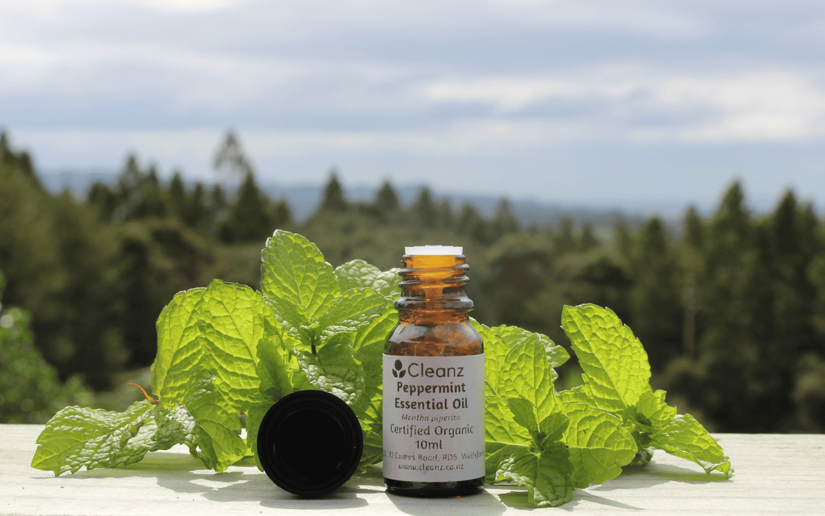 Peppermint Essential Oil - 10ml