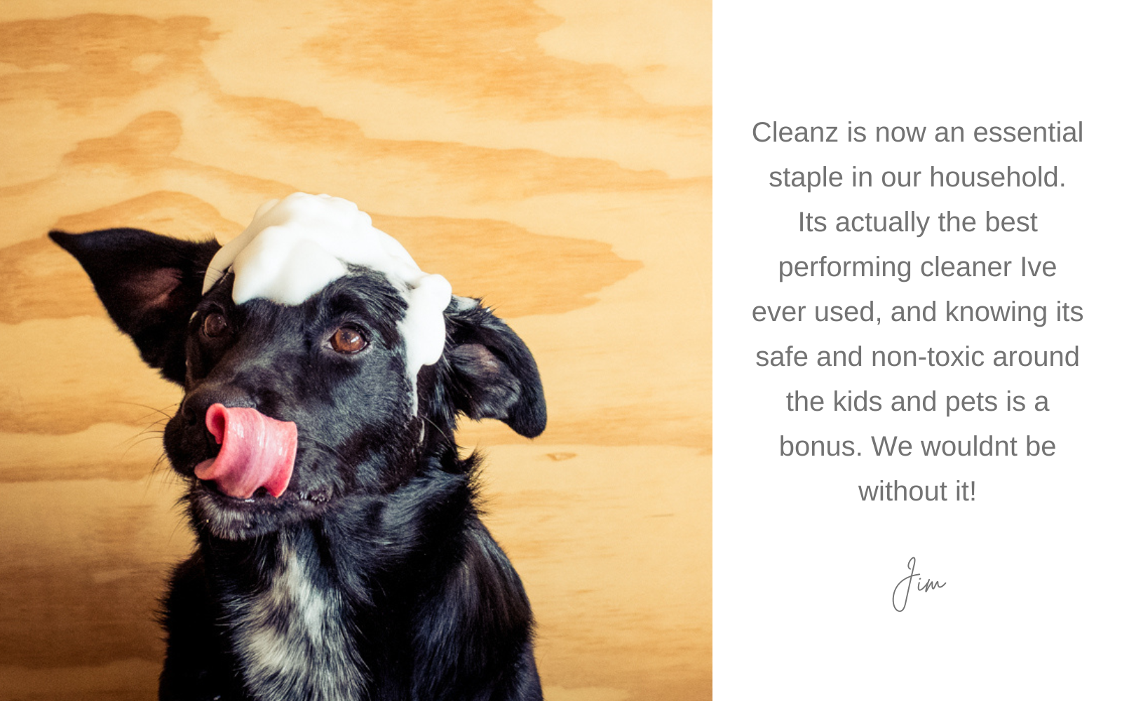 CLEANZ 500ml Concentrate