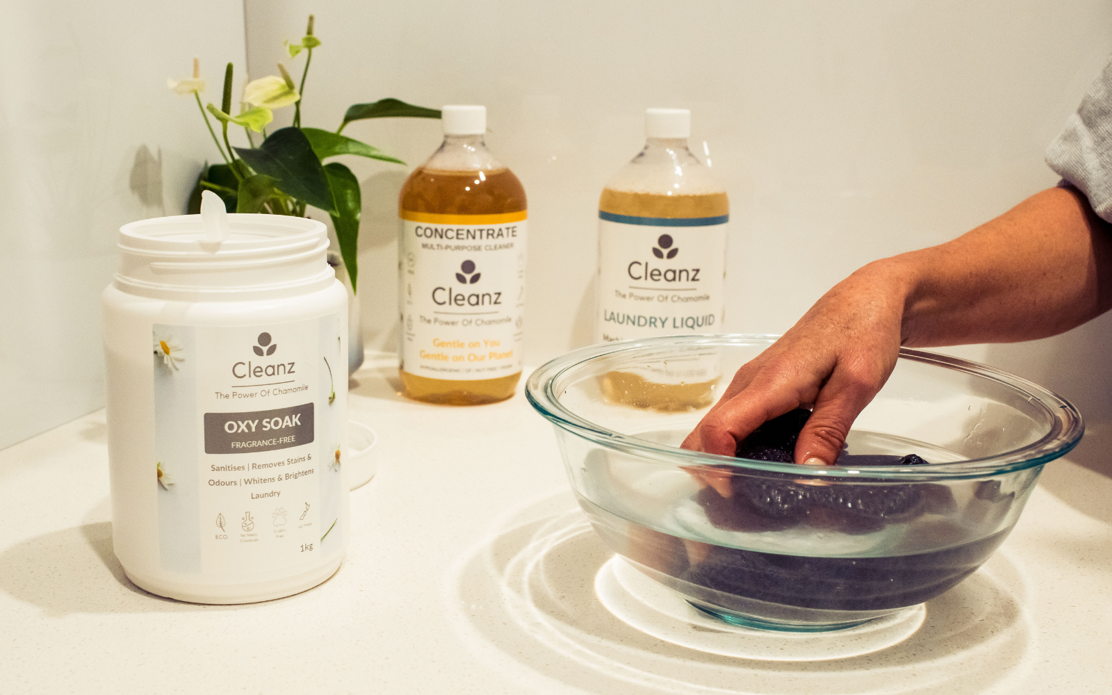 Double Oxy Laundry Essentials